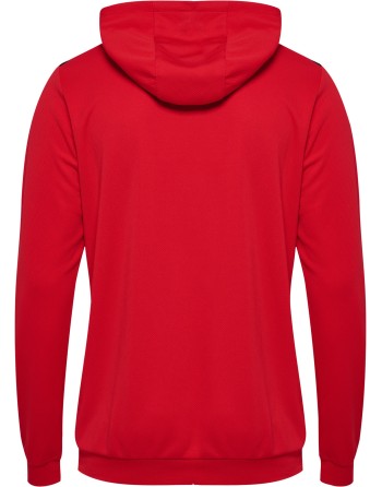 hmlAUTHENTIC PL HOODIE