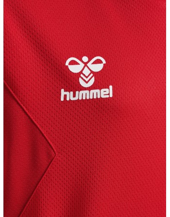 hmlAUTHENTIC PL HOODIE KIDS