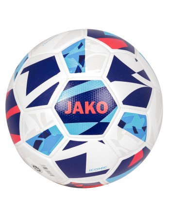 Trainingsball Iconic